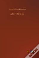 A Boy Of Galilee