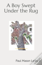Capa do artigo A Boy Swept Under The Rug