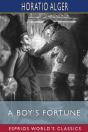 A Boy'S Fortune (Esprios Classics) - Preview