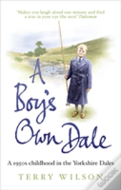 Capa do artigo A Boy
