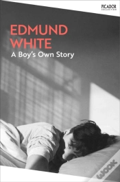 Capa do artigo A Boy