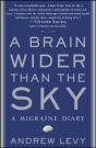 A Brain Wider Than The Sky - Preview