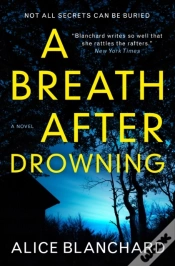 Capa do artigo A Breath After Drowning