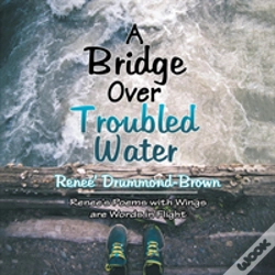 Capa do artigo A Bridge Over Troubled Water