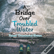 A Bridge Over Troubled Water