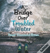 Capa do artigo A Bridge Over Troubled Water