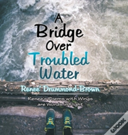 Capa do artigo A Bridge Over Troubled Water