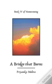 Capa do artigo A Bridge That Burns