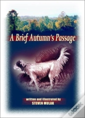 Capa do artigo A Brief Autumn