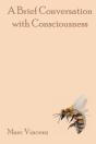 A Brief Conversation With Consciousness - Preview