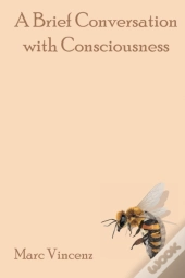 A Brief Conversation With Consciousness