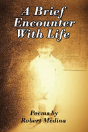 A Brief Encounter With Life - Preview