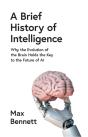 A Brief History Of Intelligence - Preview