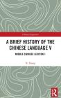 A Brief History Of The Chinese Language V - Preview