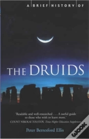 Capa do artigo A Brief History Of The Druids