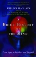 A Brief History Of The Mind