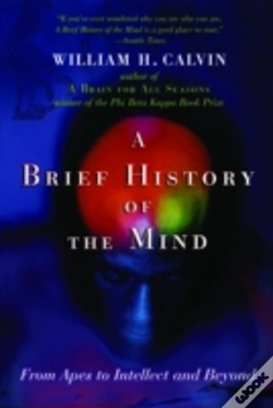 Capa do artigo A Brief History Of The Mind