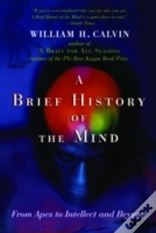 Capa do artigo A Brief History Of The Mind