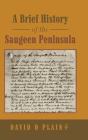 A Brief History Of The Saugeen Peninsula - Preview