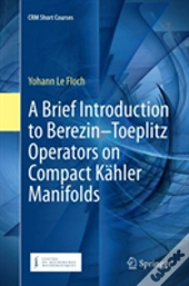 A Brief Introduction To Berezinâ€“Toeplitz Operators On Compact Kahler Manifolds