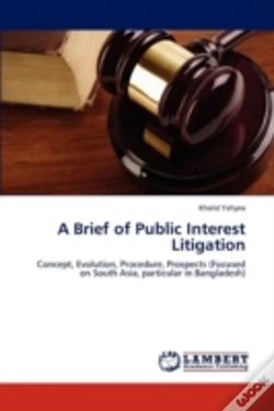 Capa do artigo A Brief Of Public Interest Litigation
