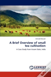 A Brief Overview Of Small Tea Cultivation