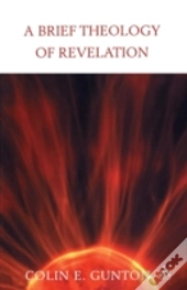 A Brief Theology Of Revelation