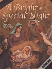Capa do artigo A Bright And Special Night