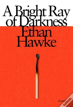 Capa do artigo A Bright Ray Of Darkness