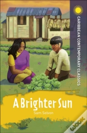 Capa do artigo A Brighter Sun