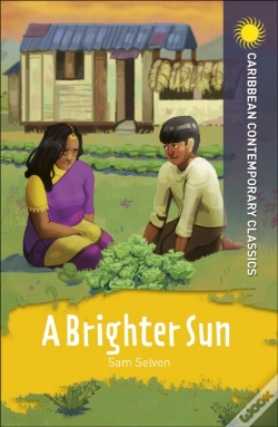 Capa do artigo A Brighter Sun