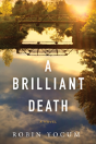 A Brilliant Death - Preview