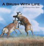 A Brush With Life - Preview