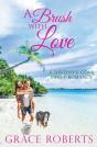A Brush With Love - Preview