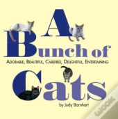 A Bunch Of Cats