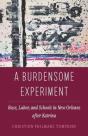 A Burdensome Experiment - Preview