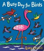 A Busy Day For Birds