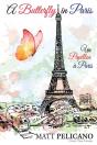 A Butterfly In Paris - Preview