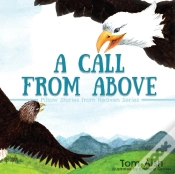Capa do artigo A Call From Above