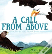 Capa do artigo A Call From Above