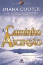 A Caminho da Ascensão - Preview