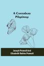A Canterbury Pilgrimage - Preview