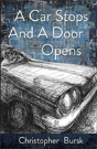 A Car Stops A Door Opens - Preview