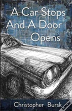 Capa do artigo A Car Stops A Door Opens