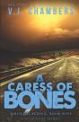 A Caress Of Bones - Preview
