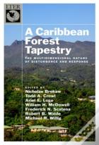 A Caribbean Forest Tapestry