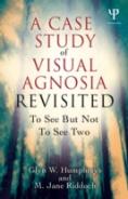A Case Study In Visual Agnosia Revisited