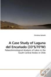 Capa do artigo A Case Study Of Laguna Del Encañado (33°