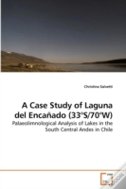 Capa do artigo A Case Study Of Laguna Del Encañado (33°
