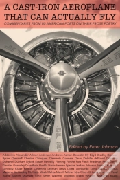 Capa do artigo A Cast-Iron Aeroplane That Can Actually